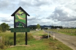 Bunjurgen Estate Vineyard