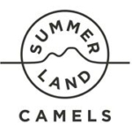 Summer Land Camels